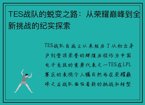 TES战队的蜕变之路：从荣耀巅峰到全新挑战的纪实探索